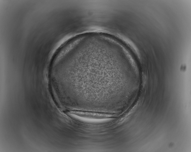 X0000101091318200807101539