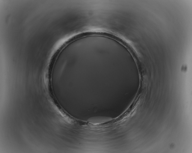 X0000101091319200807101539