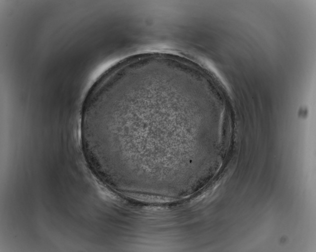 X0000101091320200807101539