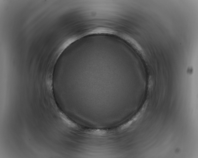 X0000101091321200807101539