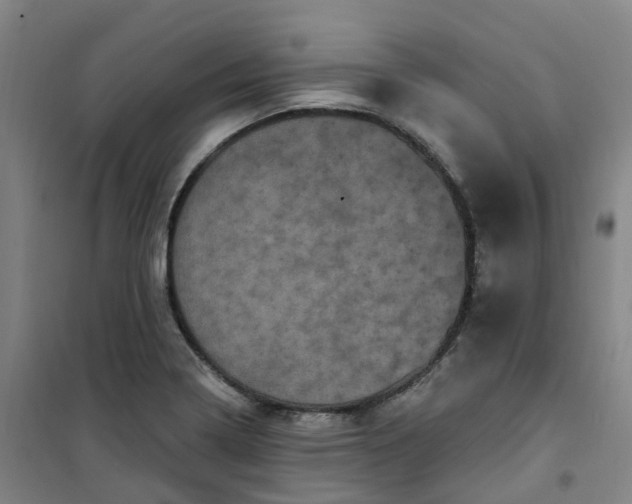 X0000101091322200807101539