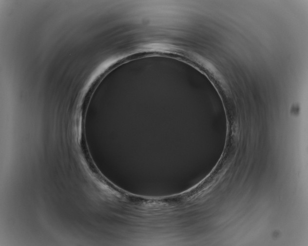 X0000101091323200807101539