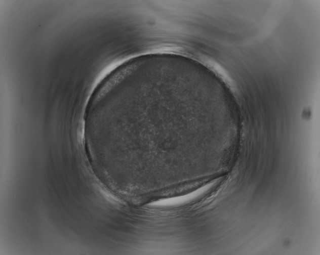 X0000101091324200807101539