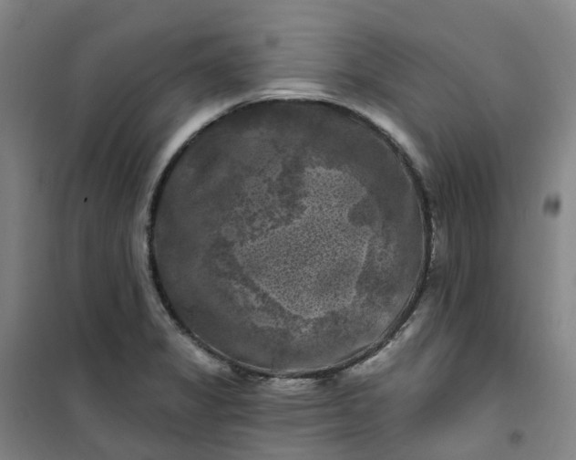 X0000101091325200807101539