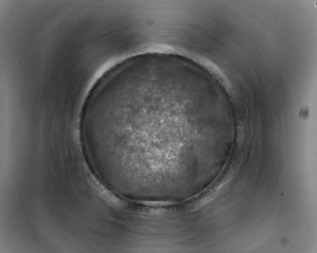 X0000101091326200807101539