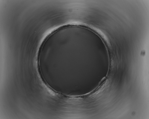 X0000101091327200807101539