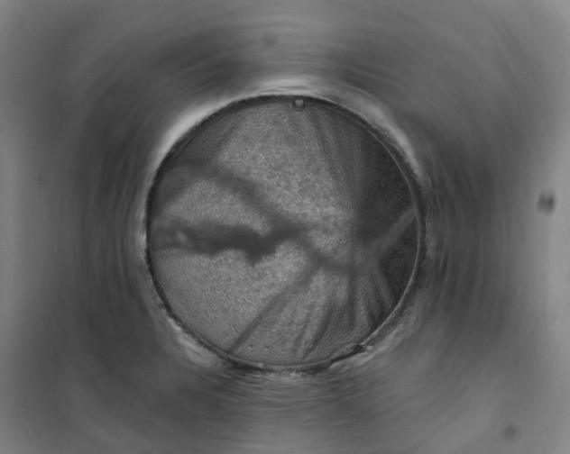 X0000101091328200807101539