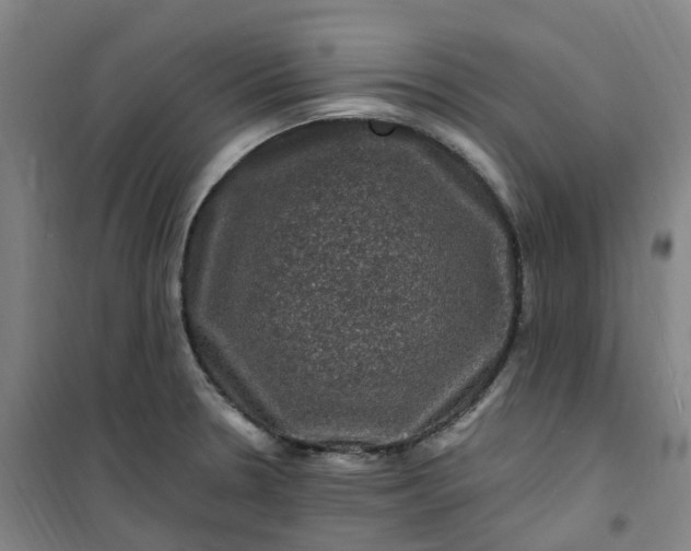 X0000101091330200807101539