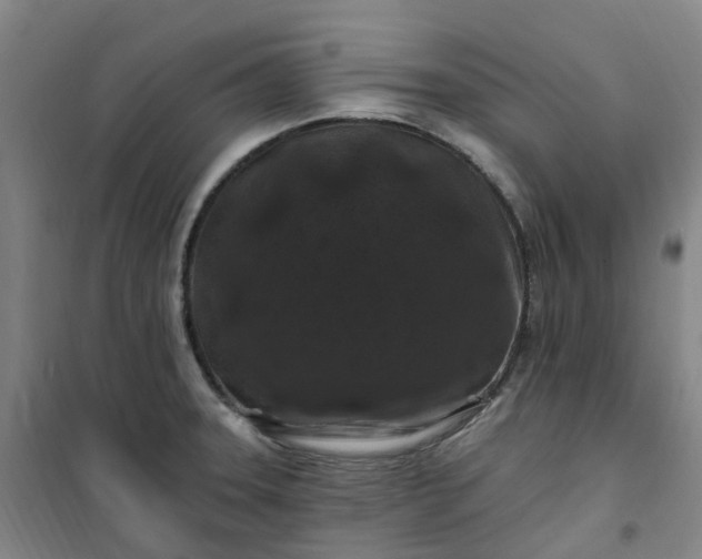 X0000101091331200807101539