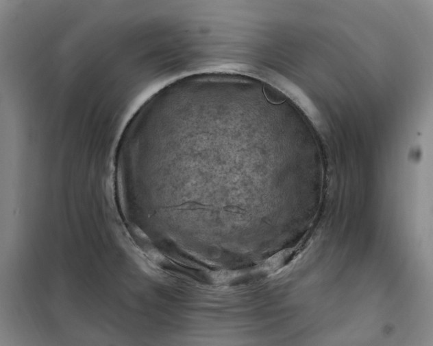 X0000101091332200807101539