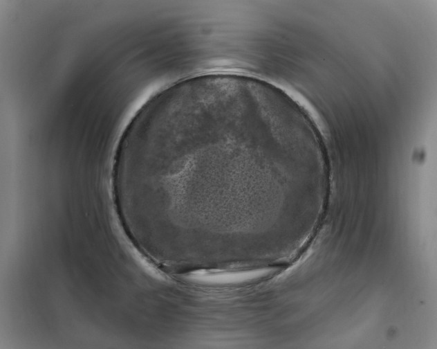 X0000101091333200807101539