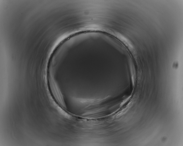 X0000101091334200807101539