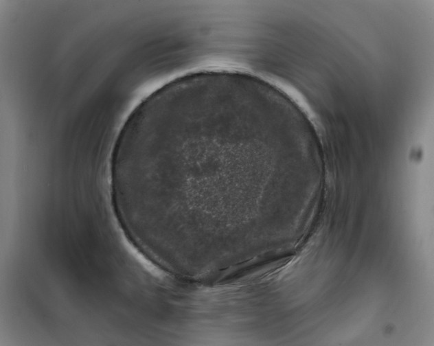 X0000101091335200807101539