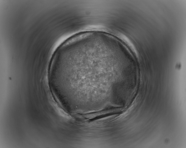 X0000101091336200807101539