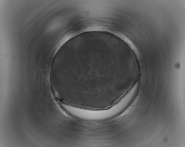 X0000101091337200807101539