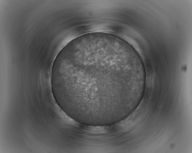 X0000101091338200807101539