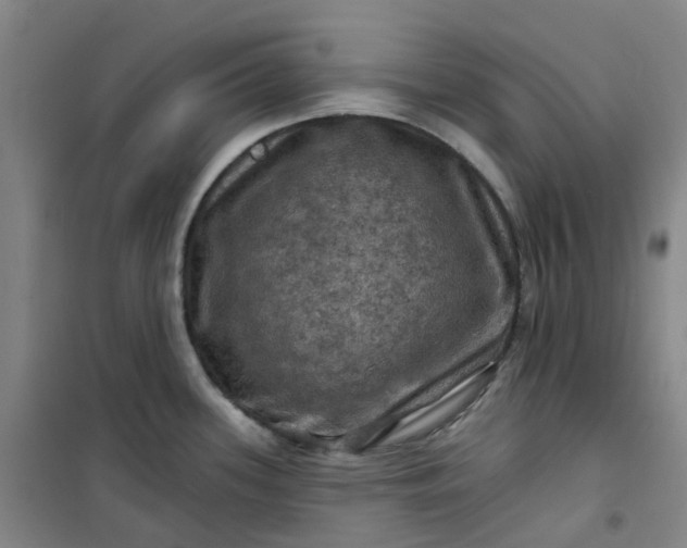 X0000101091339200807101540