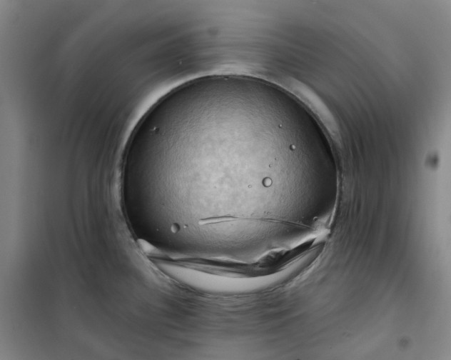 X0000101091340200807101540