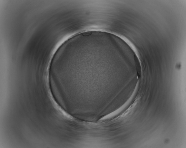 X0000101091341200807101540