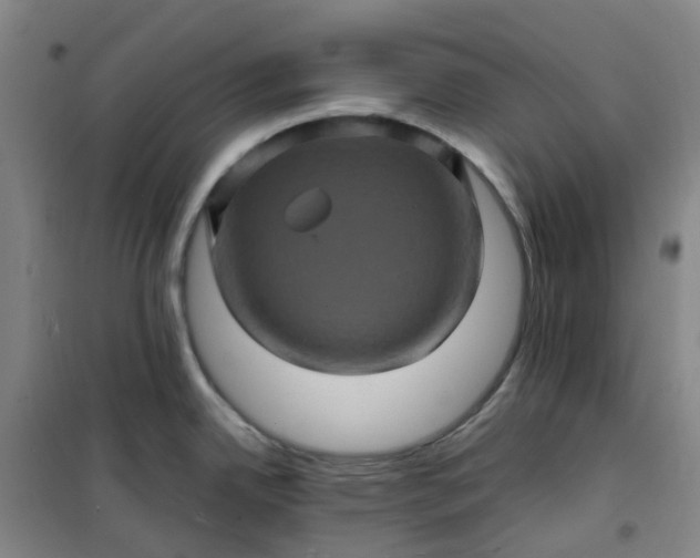 X0000101091342200807101540