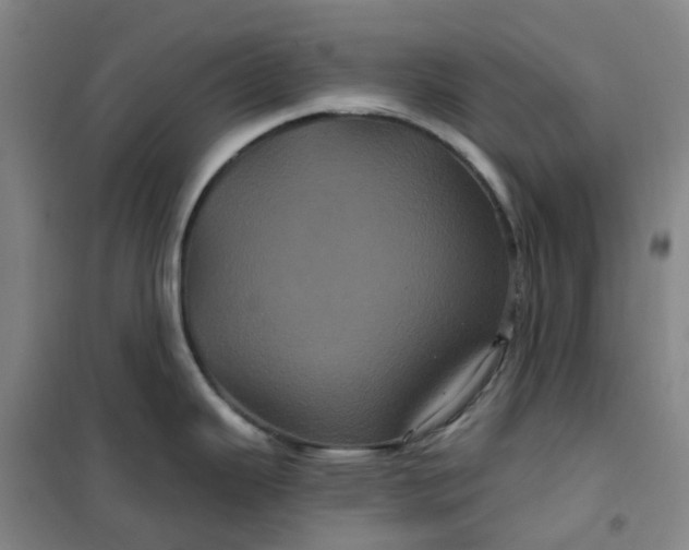 X0000101091343200807101540