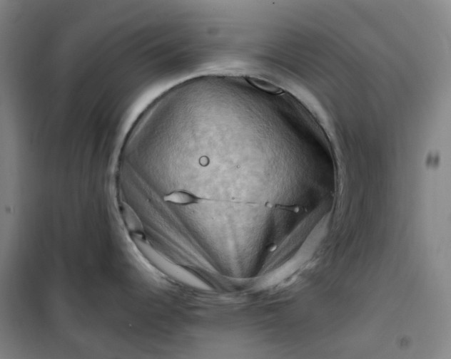 X0000101091344200807101540