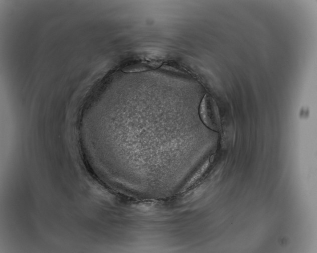 X0000101091345200807101539