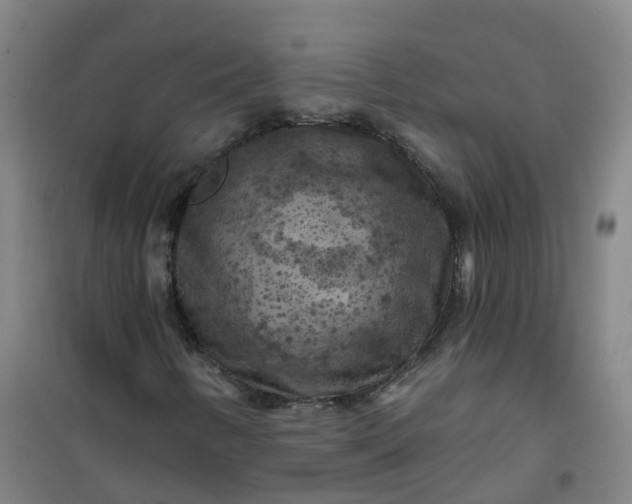 X0000101091346200807101539