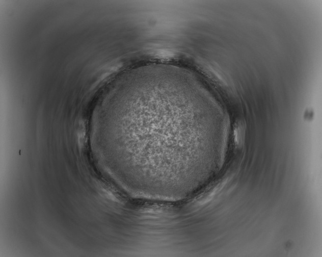 X0000101091347200807101539