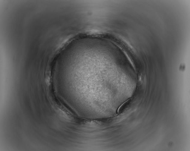 X0000101091348200807101539