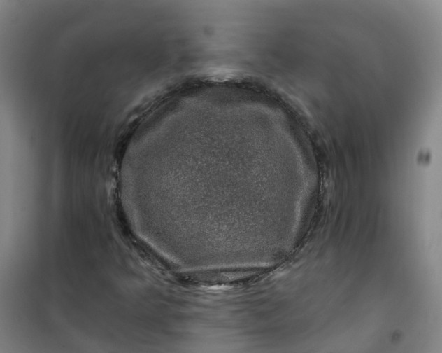 X0000101091349200807101539