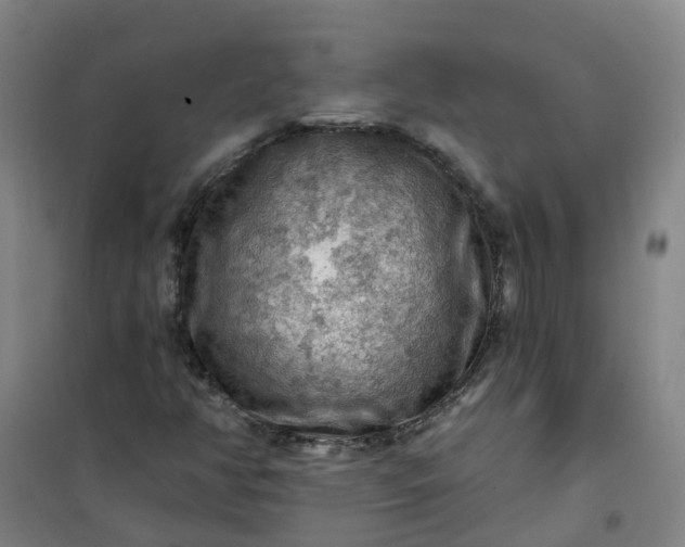 X0000101091350200807101539