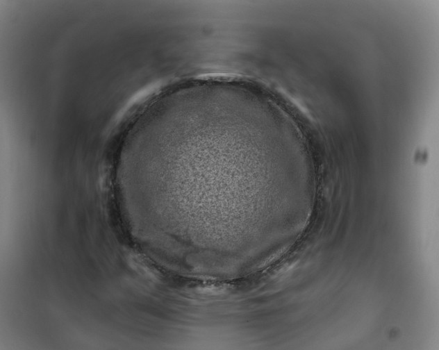 X0000101091351200807101539