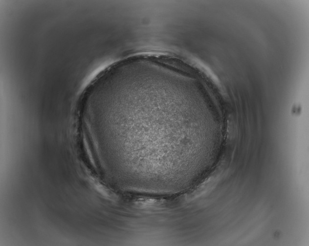 X0000101091352200807101539