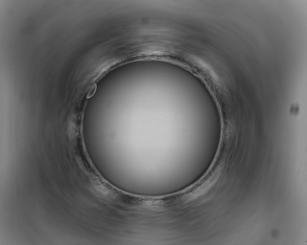 X0000101091353200807101539