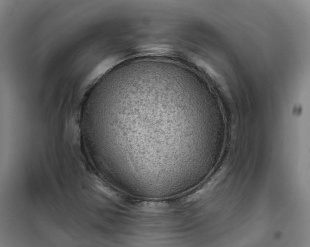 X0000101091354200807101539