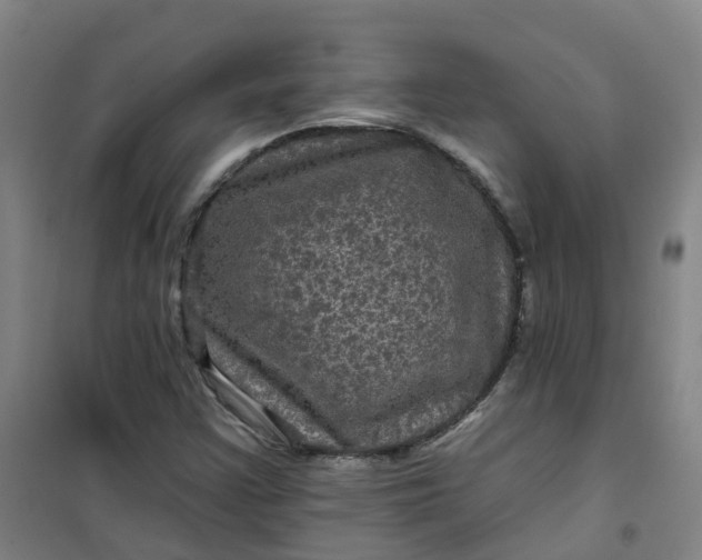 X0000101091355200807101539