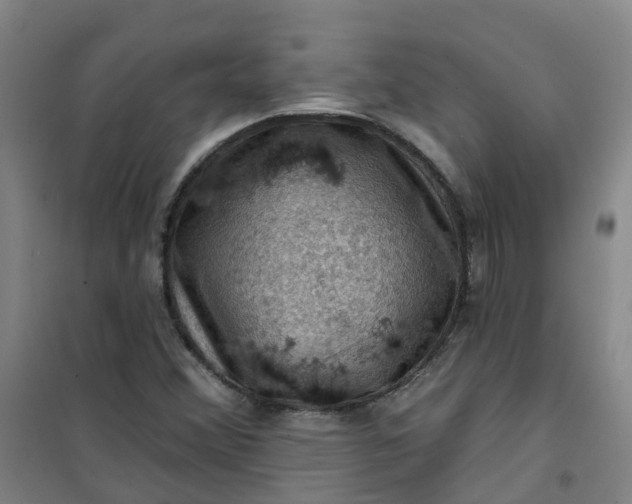 X0000101091356200807101539