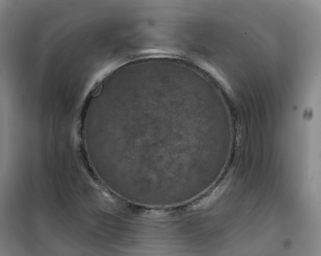 X0000101091357200807101539