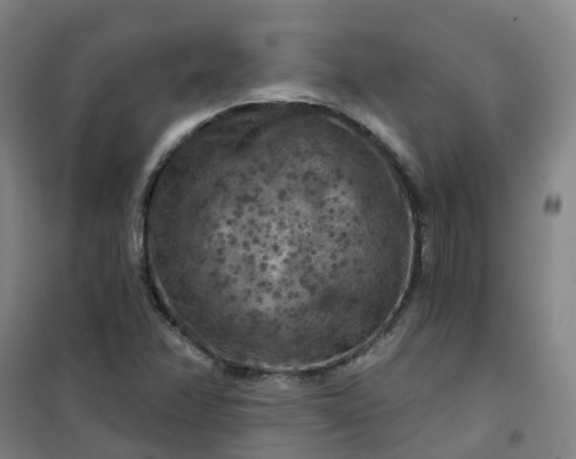 X0000101091358200807101539