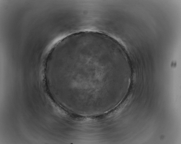 X0000101091359200807101539