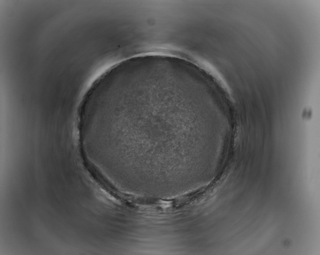 X0000101091360200807101539