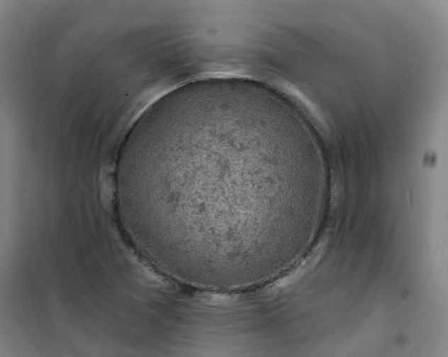 X0000101091361200807101539