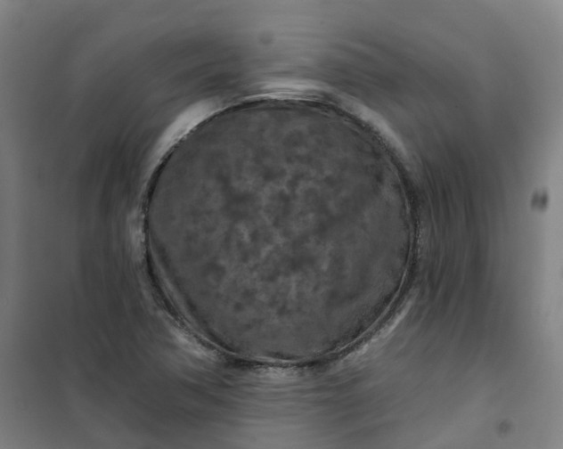 X0000101091362200807101539