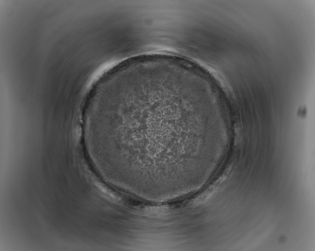 X0000101091363200807101539