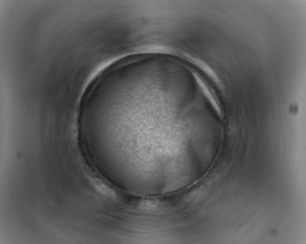 X0000101091364200807101539