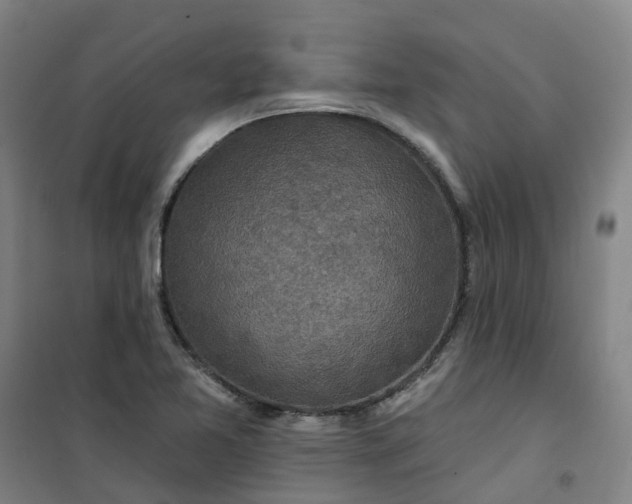 X0000101091365200807101539