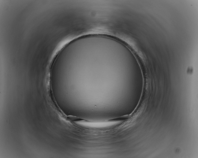 X0000101091366200807101539