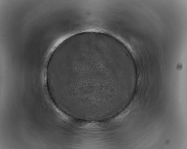 X0000101091367200807101539