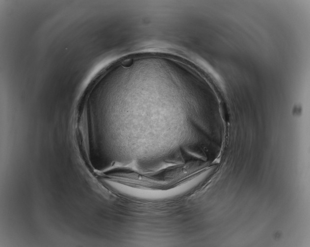 X0000101091368200807101539